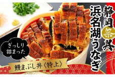 静岡祭丼　鰻まぶし丼【特上】300g×6食セット【配送不可：離島】 [№5786-3896]