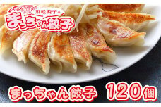 浜松餃子 まっちゃん 餃子 計120個 (40個入×3袋) セット 浜松 冷凍餃子 生餃子 ギョーザ 小分け おかず 惣菜 お弁当 弁当 おつまみ つまみ 中華 点心 加工食品 冷凍食品 冷凍 冷凍配送 静岡 静岡県 浜松市 配送不可：沖縄県・離島 [№5786-3954]