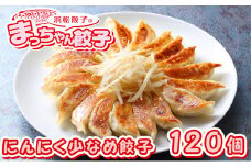 浜松餃子のまっちゃん餃子にんにく少なめ餃子40ヶ入り×3袋　計120ヶセット【配送不可：沖縄県・離島】 [№5786-3955]