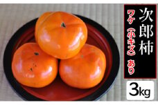 【2025年11月中旬より順次発送】【幻の柿】次郎柿ワケあり（小キズあり）3kg 12個入り 果物 フルーツ かき 冬の味覚 産地直送 静岡県産 浜松市産 [№5786-3965]