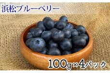 【2024年4月下旬より順次発送】太陽いっぱい大地のジュエリー【浜松産ブルーベリー】400g【配送不可：離島】 [№5786-3968]