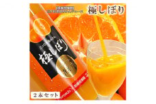 【加藤柑橘園】青島三ケ日みかんジュース『極しぼり』2本セット（簡易梱包）【配送不可：北海道・沖縄・離島】 [№5786-4001]