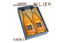 【加藤柑橘園】青島三ケ日みかんジュース『極しぼり』2本セット（化粧箱）【配送不可：北海道・沖縄・離島】 [№5786-4005]