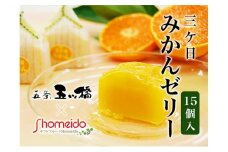 三ヶ日みかんゼリー15個セット【配送不可：北海道・沖縄・離島】[№5786-4016]