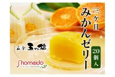 三ヶ日みかんゼリー20個セット【配送不可：北海道・沖縄・離島】[№5786-4017]