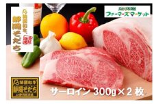 特選和牛静岡そだち サーロインステーキ（冷凍）300g×2枚【配送不可：離島】 [№5786-4100]