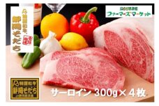 特選和牛静岡そだち サーロインステーキ（冷凍）300g×4枚【配送不可：離島】 [№5786-4101]