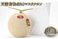 天使音（あまね）マスクメロン １玉（1.4kg以上）【配送不可：離島】 [№5786-4112]
