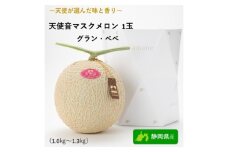 天使音（あまね）マスクメロン　グラン・べべ　1玉【配送不可：離島】 [№5786-4111]