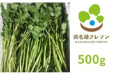 浜名湖クレソン 500g【配送不可：北海道・沖縄・離島】 [№5786-4162]