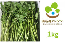 浜名湖クレソン 1kg【配送不可：北海道・沖縄・離島】 [№5786-4163]