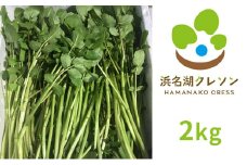 浜名湖クレソン 2kg【配送不可：北海道・沖縄・離島】 [№5786-4164]
