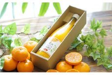 三ヶ日みかんジュース「浜名湖まるごと純粋搾り」720ml 1本【静岡 三ヶ日 みかん ジュース】 [№5786-4270]