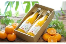 三ヶ日みかんジュース「浜名湖まるごと純粋搾り」720ml 2本【静岡 三ヶ日 みかん ジュース】 [№5786-4271]