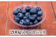 【2025年4月中旬以降順次発送】生ブルーベリー 200g×3パック 果物詰合せ フルーツ [№5786-4290]