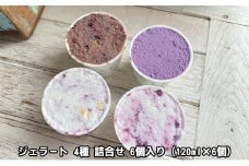 【2024年6月上旬以降順次発送】ジェラート4種詰め合わせ 6個入り【配送不可：離島】 [№5786-4295]