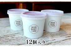 【2024年6月上旬以降順次発送】ブルーベリージェラート　12個入り【配送不可：離島】 [№5786-4296]