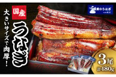 うなぎ 浜松 国産 鰻 蒲焼 3尾 (160g×3尾 タレ75ml×1 山椒付) セット 勝美 土用の丑の日 丑の日 小分け 真空パック 国産うなぎ 浜松うなぎ 浜名湖うなぎ 蒲焼き ギフト プレゼント 贈答 浜名湖 産地直送 冷凍 冷凍配送 静岡 静岡県 浜松市 [№5786-4332]