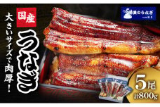 うなぎ 浜松 国産 鰻 蒲焼 5尾 (160g×5尾 タレ75ml×2 山椒付) セット 勝美 土用の丑の日 丑の日 小分け 真空パック 国産うなぎ 浜松うなぎ 浜名湖うなぎ 蒲焼き ギフト プレゼント 贈答 浜名湖 産地直送 冷凍 冷凍配送 静岡 静岡県 浜松市 [№5786-4333]