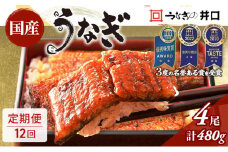 定期便12回【ITI優秀味覚賞受賞】「うなぎの井口」長蒲焼4尾セット【配送不可：離島】 [№5786-4319]