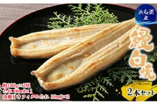 【2025年8月15日頃～順次発送予定】浜名湖産鰻　白焼2本セット（約100g×2尾、たれ 80ml×1、山椒付きフィルムたれ 10ml×2） 土用の丑の日 丑の日 うなぎ 静岡県産 浜松  [№5786-4399]