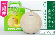 【6か月定期便】クラウンメロン【上（山等級）】中玉（1.3kg前後）1玉入り [№5786-4442]