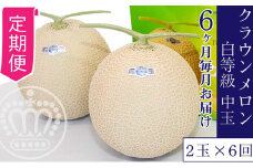 【6か月定期便】クラウンメロン【並（白等級）】中玉（1.3kg前後）2玉入り [№5786-4444]