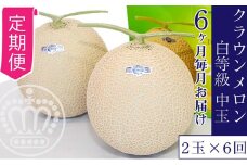 【6か月定期便】クラウンメロン【並（白等級）】中玉（1.3kg前後）2玉入り [№5786-4444]