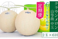 【6か月定期便】クラウンメロン【上（山等級）】中玉（1.3kg前後）2玉入り [№5786-4445]