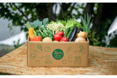 おとなりさんち厳選！浜松から鮮度抜群！旬の野菜BOX【配送不可：沖縄・離島】 [№5786-4468]