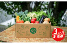 おとなりさんち厳選！浜松から鮮度抜群！旬の野菜BOX【定期便3か月分】【配送不可：沖縄・離島】 [№5786-4469]