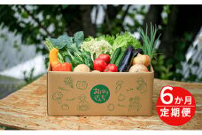 おとなりさんち厳選！浜松から鮮度抜群！旬の野菜BOX【定期便6か月分】【配送不可：沖縄・離島】 [№5786-4470]