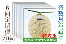クラウンメロン特大玉1玉入【奇数月6回定期便】【配送不可：離島】 [№5786-4472]