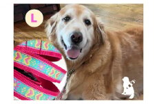 【大型犬用・Lサイズ】ハーフチョークカラーとリードのセット（ハート＆マゼンダピンク） 雑貨 日用品 日本製 オリジナル 手作り  [№5786-4478]