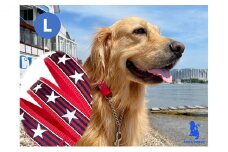 【大型犬用・Lサイズ】ハーフチョークカラーとリードのセット（シマ星＆レッド） 雑貨 日用品 日本製 オリジナル 手作り  [№5786-4584]