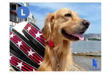 【大型犬用・Lサイズ】ハーフチョークカラーとリードのセット（シマ星＆ブラック） 雑貨 日用品 日本製 オリジナル 手作り  [№5786-4585]