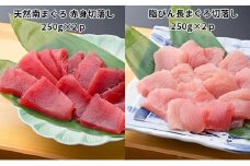 天然 南まぐろ 赤身切り落とし 脂びん長まぐろ 切り落とし セット 詰め合わせ マグロセット 刺身 刺し身 まぐろ 鮪 赤身 びんちょうまぐろ 魚 魚介 魚介類 高級 まぐろ赤身 まぐろ切り落とし 天然まぐろ 静岡 静岡県 浜松市 【配送不可：離島】 [№5786-4586]