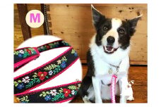 【中型犬用・Mサイズ】ハーフチョークカラーとリードのセット（レッドフラワー＆マゼンダピンク） 雑貨 日用品 Мサイズ 日本製 オリジナル 手作り  [№5786-4593]