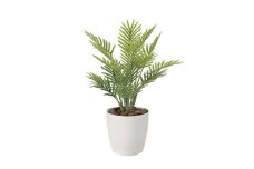 光の楽園 フレッシュパーム 光触媒 フェイクグリーン フェイクフラワー 造花 フェイク 観葉植物 消臭 抗菌 防汚 ホルムアルデヒド 分解 インテリア 静岡 静岡県 浜松市 【配送不可：北海道・沖縄・離島】 [№5786-4518]
