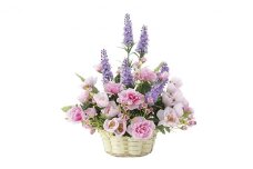 光の楽園 アニー 光触媒 フェイクグリーン フェイクフラワー 造花 フェイク 観葉植物 消臭 抗菌 防汚 ホルムアルデヒド 分解 インテリア 静岡 静岡県 浜松市 【配送不可：北海道・沖縄・離島】 [№5786-4575]