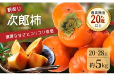 訳あり 長生き次郎柿「長寿郎（ちょうじゅろう）」2L～Mサイズ 5kg 20～28玉入り 12月発送 柿 かき 果物 くだもの フルーツ 次郎柿 静岡 静岡県 訳アリ 浜松市【配送不可：離島】 [№5786-4596]