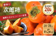 訳あり 長生き次郎柿「長寿郎（ちょうじゅろう）」2L～Mサイズ 5kg 20～28玉入り 11月発送 柿 かき 果物 くだもの フルーツ 旬の果物 次郎柿 静岡 浜松市【配送不可：離島】 [№5786-4597]