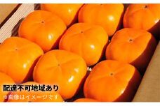 長生き次郎柿「長寿郎（ちょうじゅろう）」2L～Mサイズ 2.5kg 10～16玉入り 
柿 かき 果物 くだもの フルーツ 旬の果物 旬のフルーツ 秋の味覚 次郎柿 デザート 静岡 静岡県 高級 浜松市【配送不可：離島】 [№5786-4598]