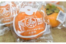 【高級贈答用】長生き次郎柿「長寿郎（ちょうじゅろう）」2Lサイズ 1.5kg 6玉入り 
柿 かき 果物 くだもの フルーツ 旬の果物 旬のフルーツ 秋の味覚 次郎柿 ギフト 贈り物 プレゼント 個包装 デザート 静岡 静岡県 高級 浜松市【配送不可：離島】 [№5786-4599]
