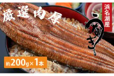 【厳選肉厚】浜名湖鰻蒲焼 1本（約200g）【配送不可：離島】 [№5786-4631]