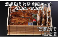 浜名湖うなぎ 蒲焼セット（蒲焼3尾・肝焼3本）【配送不可：離島】 [№5786-4616]