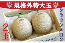 クラウンメロン　規格外特大玉　2玉入【配送不可：離島】 [№5786-4674]