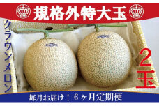 クラウンメロン　規格外特大玉　2玉入【毎月お届け6ヶ月定期便】【配送不可：離島】 [№5786-4676]