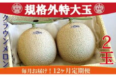 メロン 定期便 12ヶ月 クラウンメロン 規格外 特大玉 2玉 フルーツ 果物 高級フルーツ 高級果物 季節のフルーツ 季節の果物 旬のフルーツ フルーツ定期便 くだもの定期便 マスクメロン 青肉 静岡メロン 静岡県 浜松市 12回 定期 【配送不可：離島】 [№5786-4677]