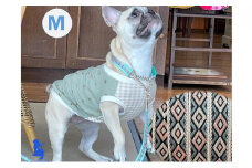 【中型犬用・Mサイズ】ハーフチョークカラーとリードのセット（ひし形＆ミント） ペット 用品 グッズ ビーグル 柴犬 ボーダーコリー フレンチブルドッグ 強い力 気管支 痛めない 抜けない 訓練  [№5786-4699]